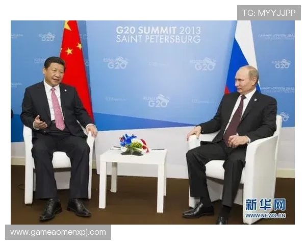 新普京电脑版官网首页全面功能介绍与使用技巧解析