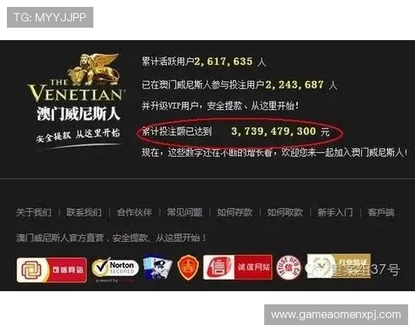 新葡京的网址最新入口导航，确保玩家安全稳定登录体验全攻略